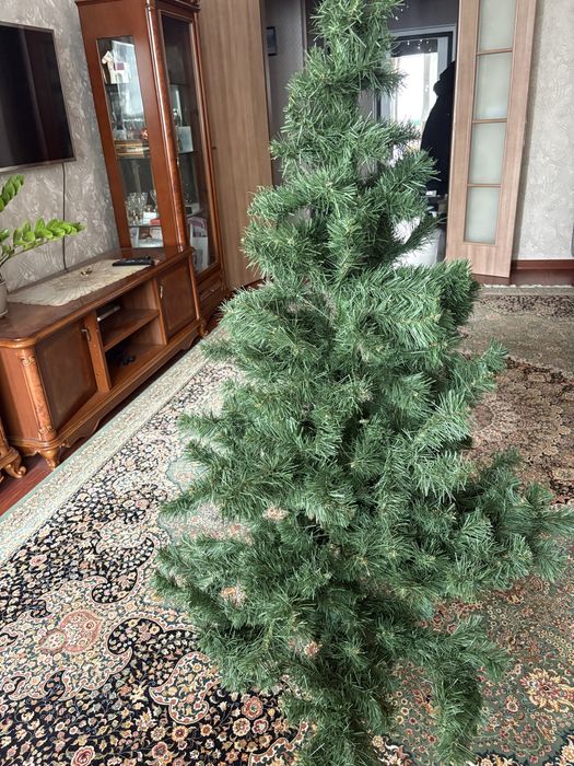 Продаю новогоднюю елку