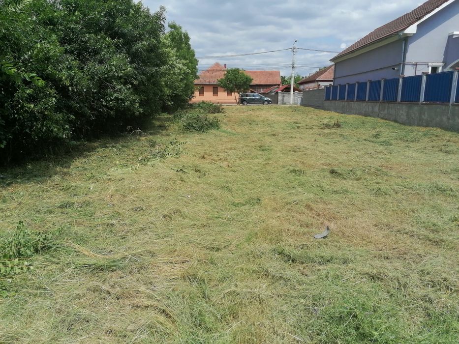 Tund gazon, defrișări parcele, tund gard viu