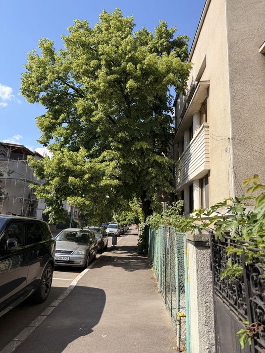 Apartament în vilă  6 camere 120 mp Decebal – Moise Nicoară | Ideal locuință sau business