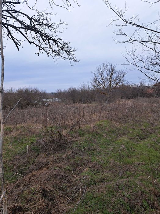 Дворно място в село Николаевка 1050кв