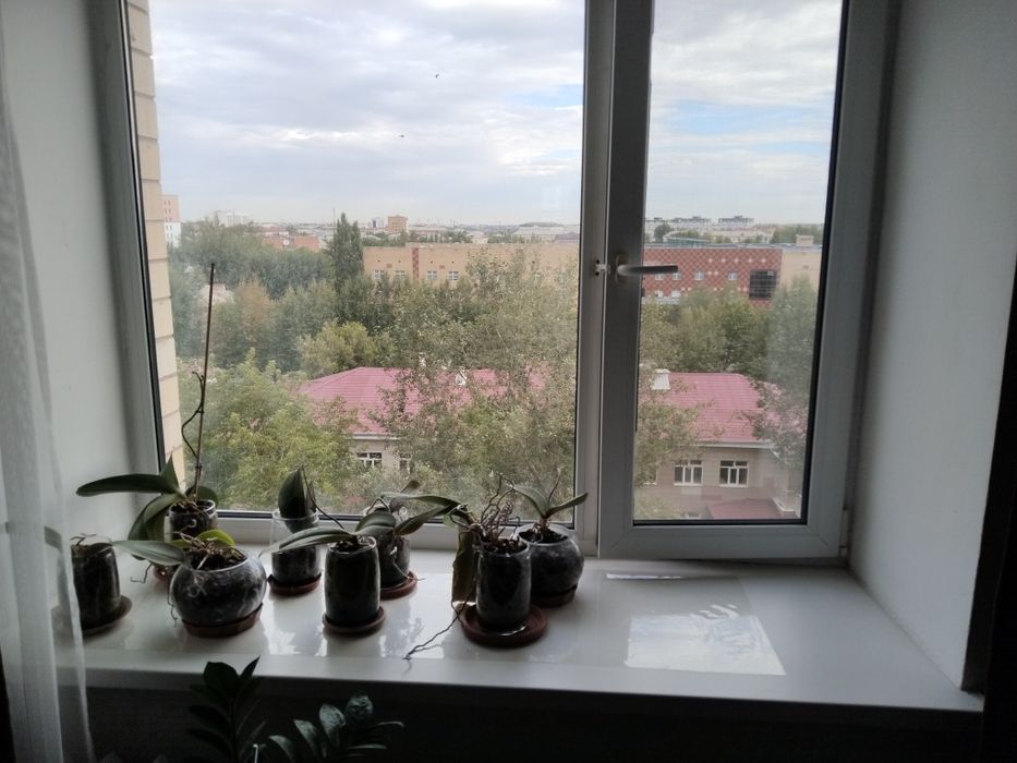 Пластиковое окно