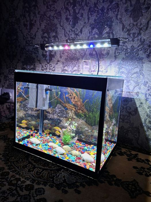 Аквариум очень красивый