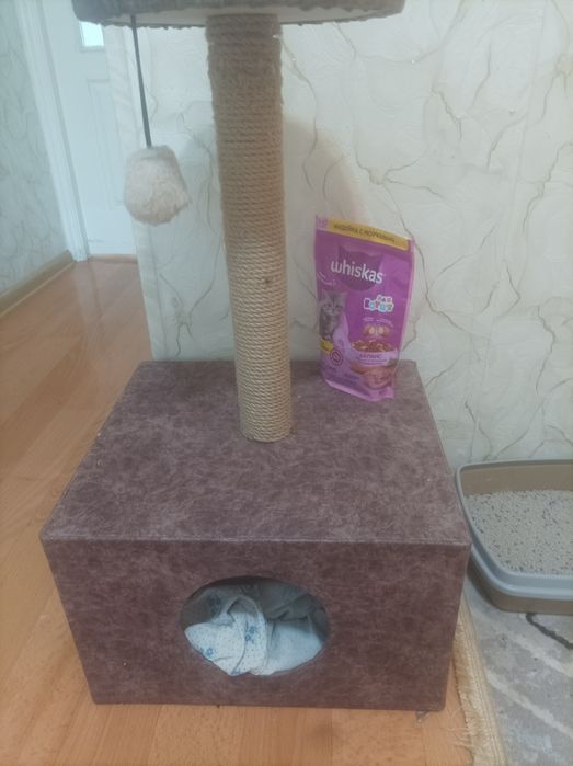 Продам для котят, кошки