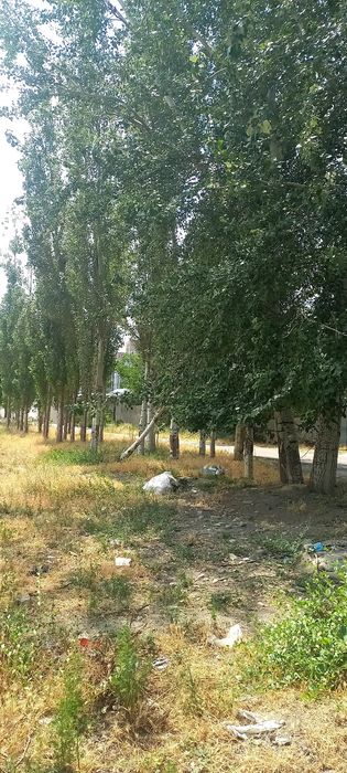 Сергели 6 соток не жилая земля