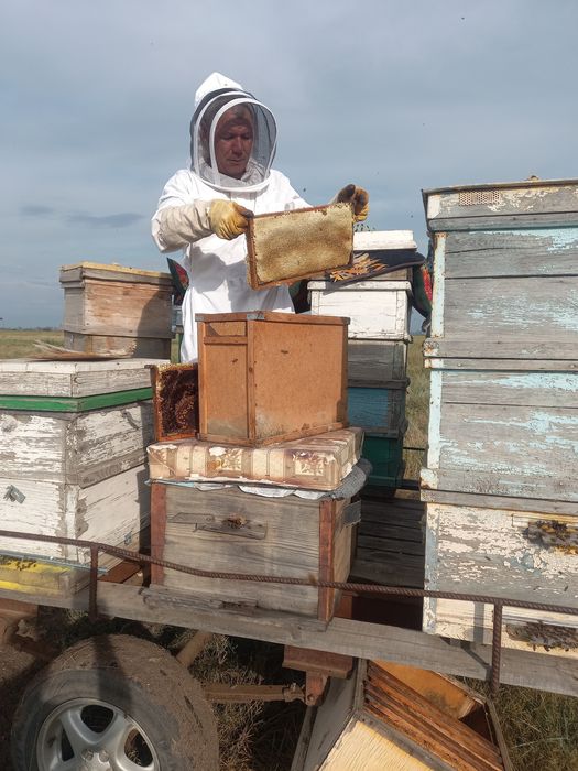 Мёд со своей пасики