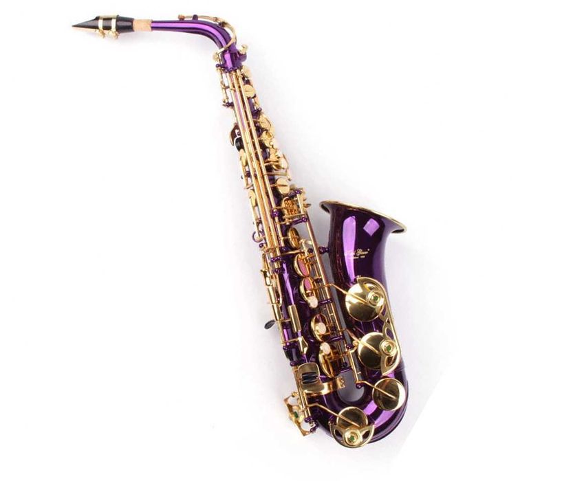 Set Saxofoane Alto Karl Glaser Eb Mi bemol NOI Transport gratuit