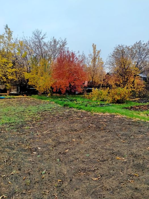 Продам дачу мелиаратор