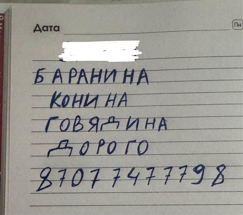 Бараны , лошади, крс