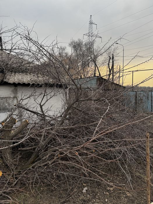 Дрова отдам, плодовые деревья, самовывоз