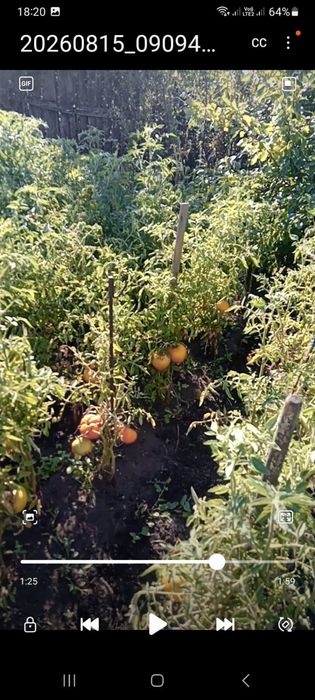 Продам дачу 17-маршрут