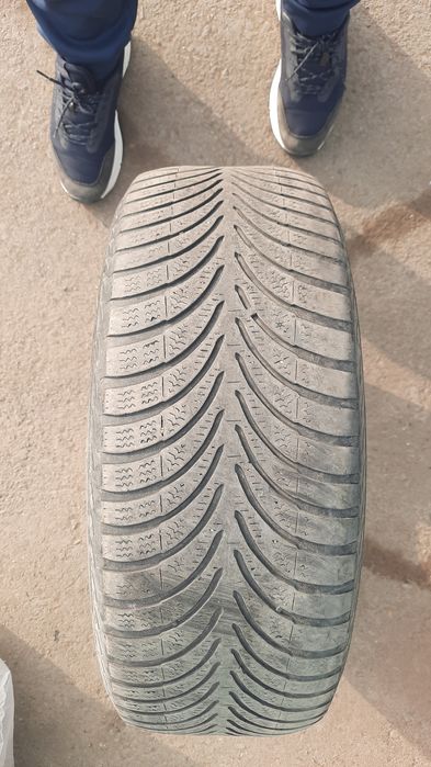 Зимние шины Apollo