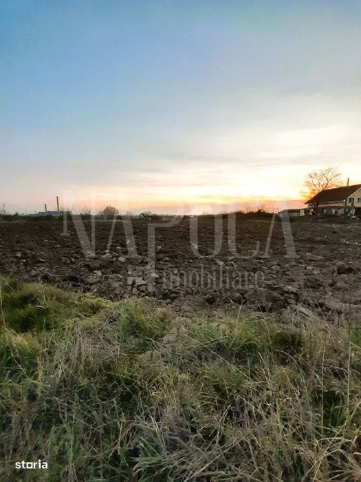 Teren intravilan agricol de vanzare in Episcopia Bihor Oradea, Oradea