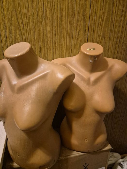 Дамски манекени - торс
Продавам  дамски манекен - торс