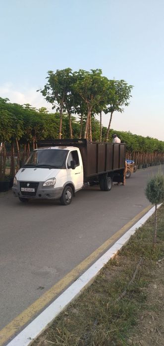 Gazel Yuk tashish xizmati bartavoy 24/7