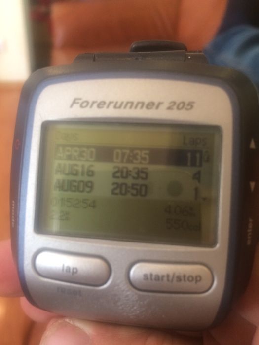 Garmin Forerunner 205