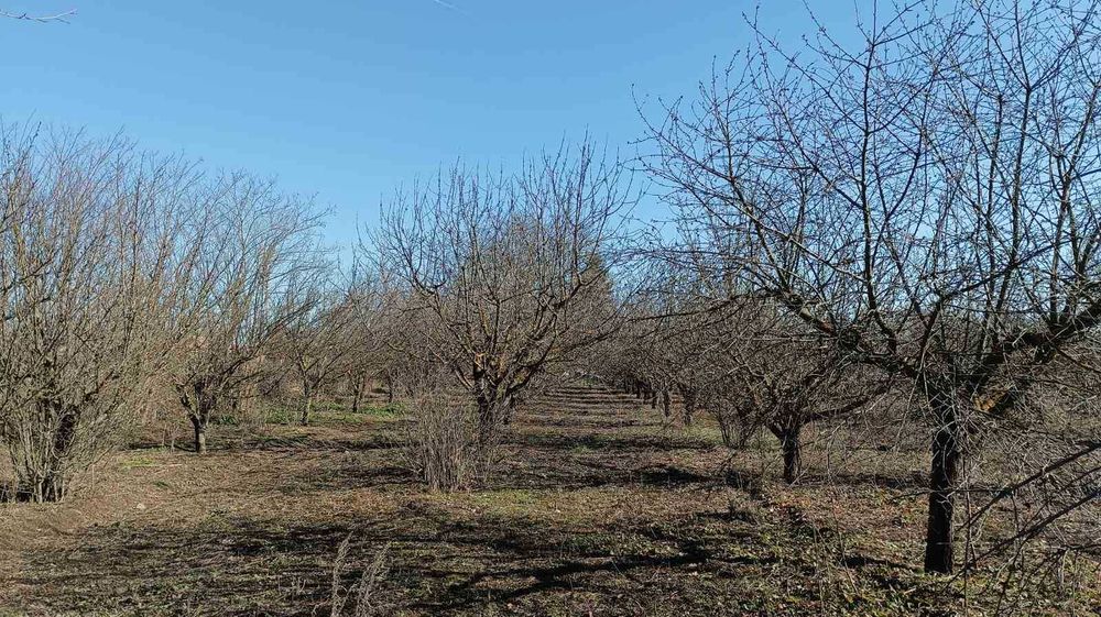 Продава се Къща в с. Полковник Минково, Област Добрич - 54 кв.м за 543 €/кв.м - Снимка #1