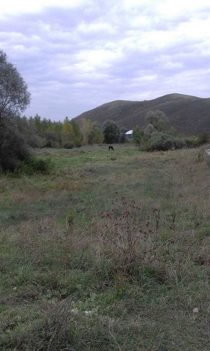 Продам дом в селе Быструха