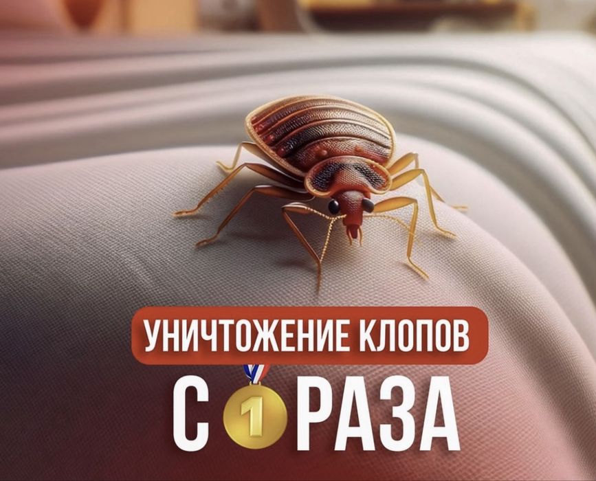 Дезенфекция дизенфек дезинфекция дизинфекция dezinfeksiya klapa klopa