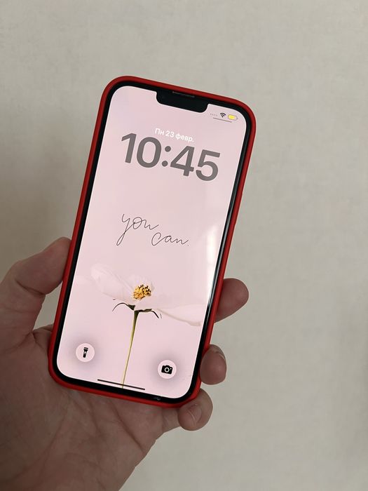 Iphone 13 pro max 256