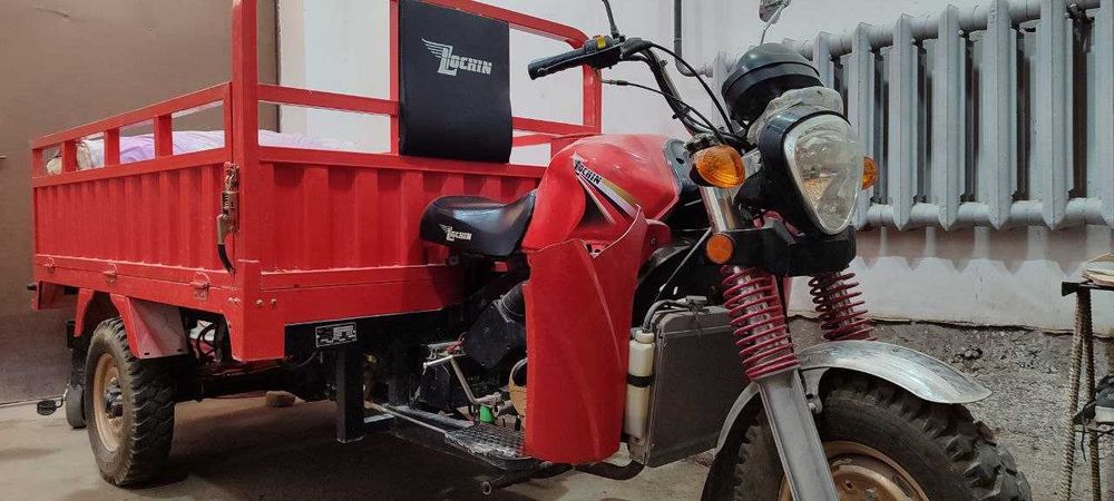 Грузовой мотоцикл, муравей, мотороллер, трицикл REALMOTO