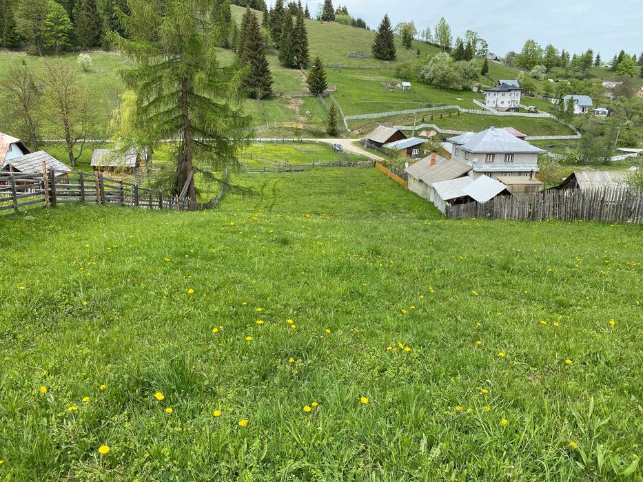 Teren de vanzare in zona de munte