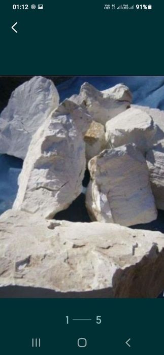 Var bulgar nestins pentru dezinfectie fantani zugrăveli tencuieli