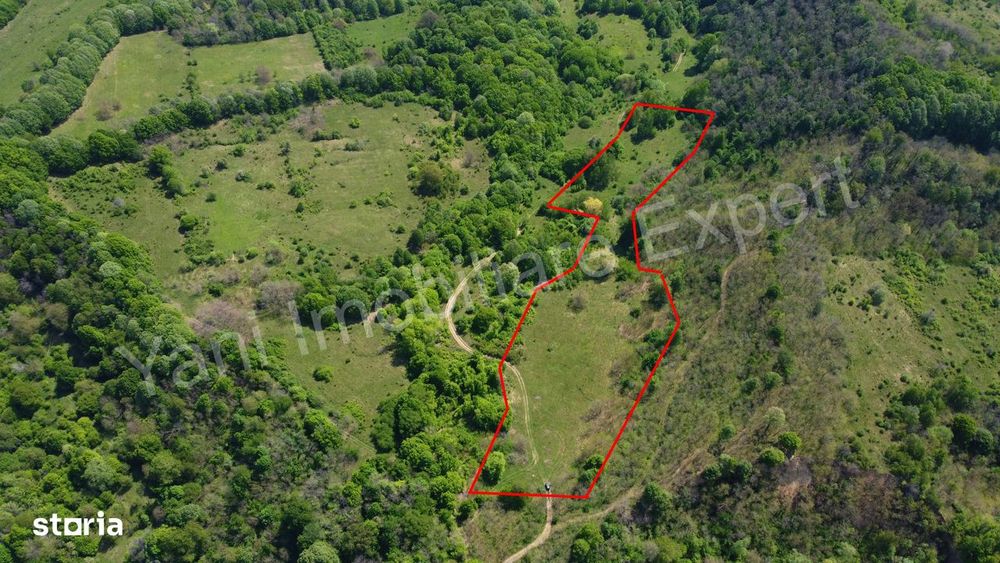 Teren 19.452 mp de vânzare în Curtea de Argeș.