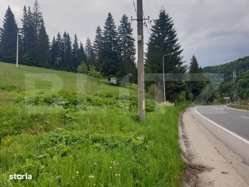 Oportunitate de Investitie: Teren de 10.000 mp la Intrarea in Predeal