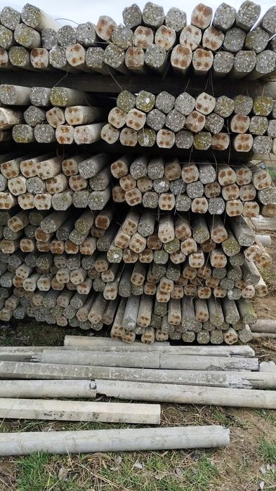 Salpi semirotunzi de vanzare