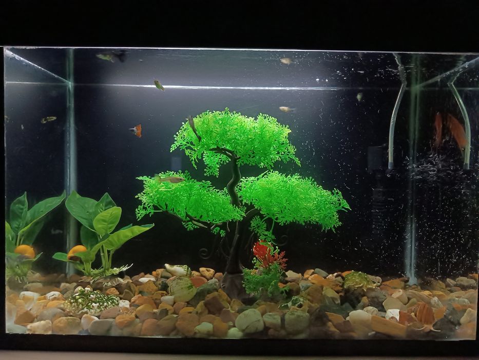 Аквариум 40литров