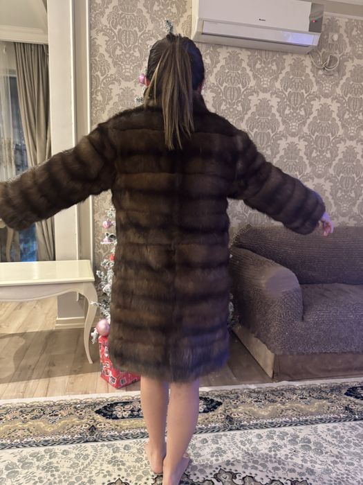 Продам дикий соболь