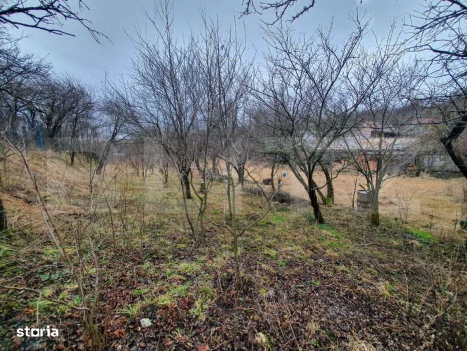 Casa cu teren generos in Ceanu Mic – 1.700 mp, la doar 20 km de Cluj