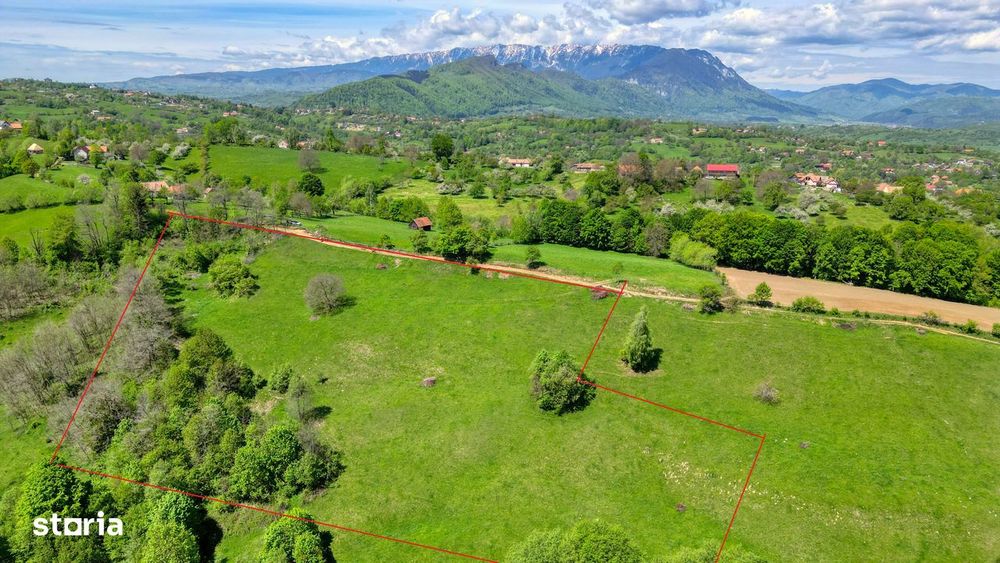 Teren extravilan 20.000 mp, zona Bran, vedere spre Munții Bucegi