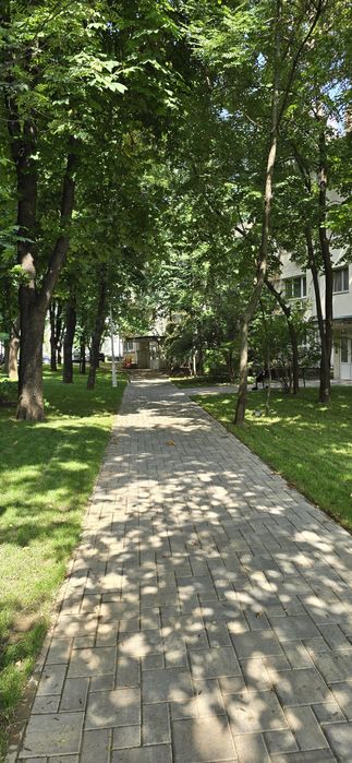 Apartament Pajura 2 camere l Etaj 1 l Zona verde si linistita