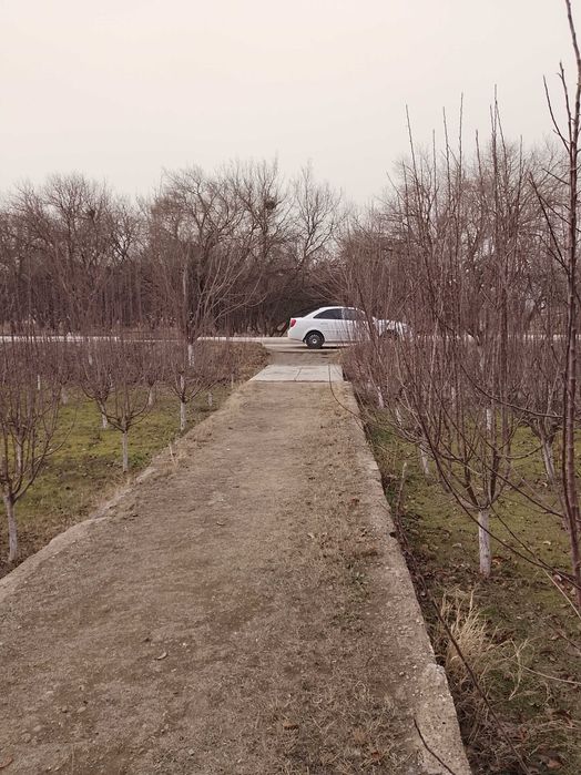 Участка и дом земельный участок