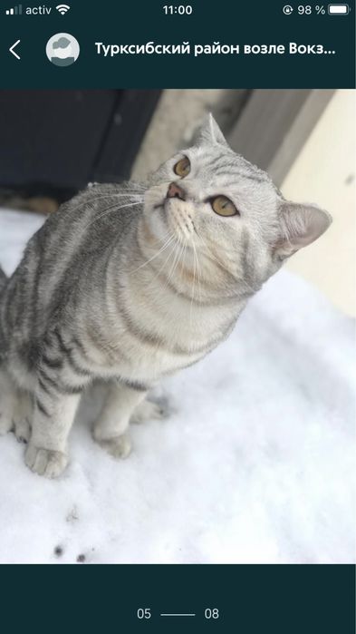 срочно вязка вязка