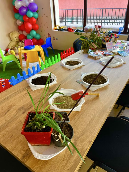 Разработен бизнес-частна занималня