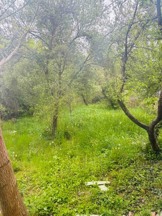 Продава се Къща в София, Красно село - 85 кв.м за 1411 €/кв.м - Снимка #7