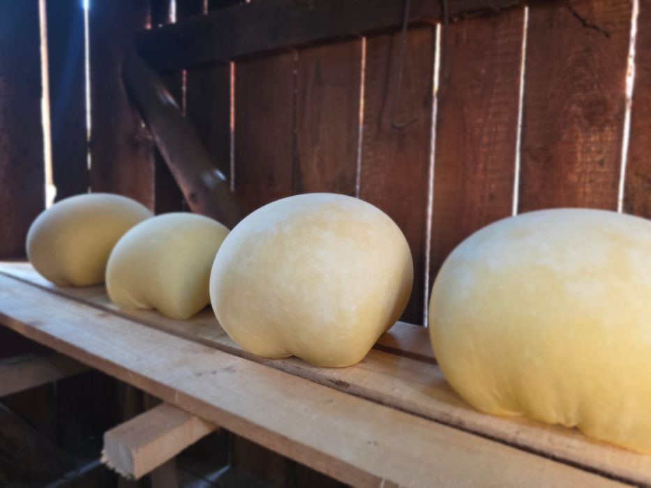 Cas de vaca proaspat