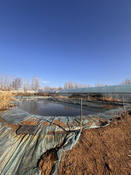 Issiqxona tayyor biznes sotiladi