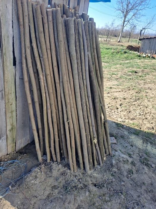 Vand pari de rosii 2 lei paru asa cum sunt 3 lei ascutit