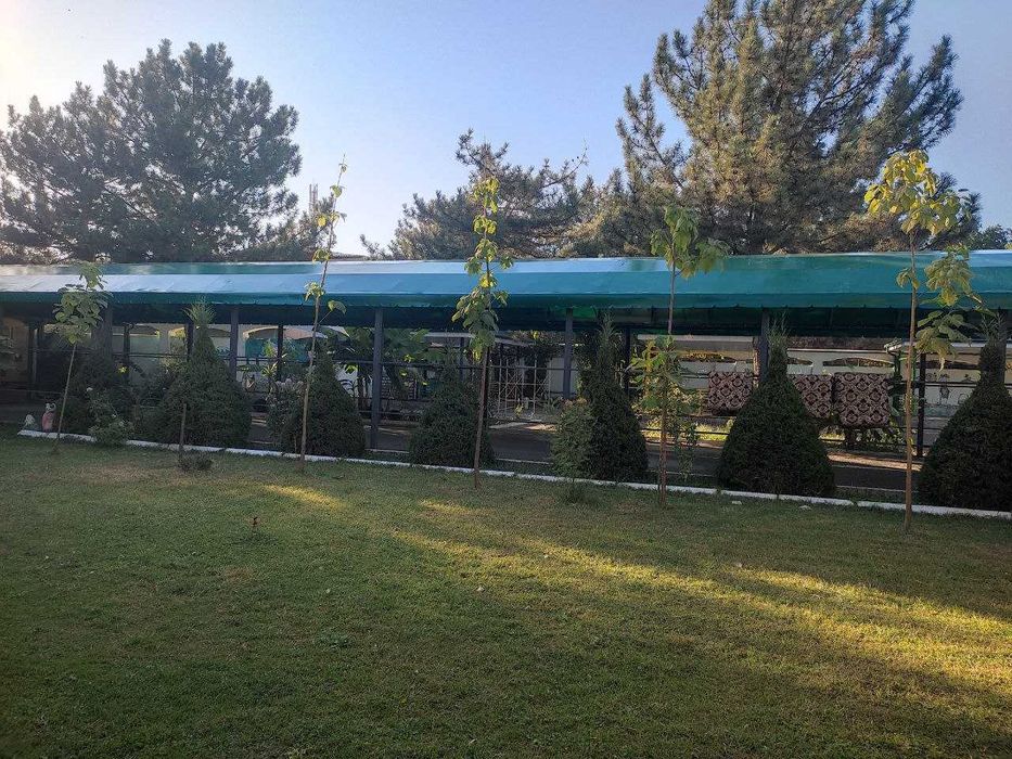 Тент Баннер Tent banner