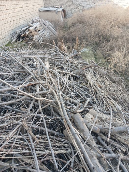 Oʻtim sotiladi продаётся дрова