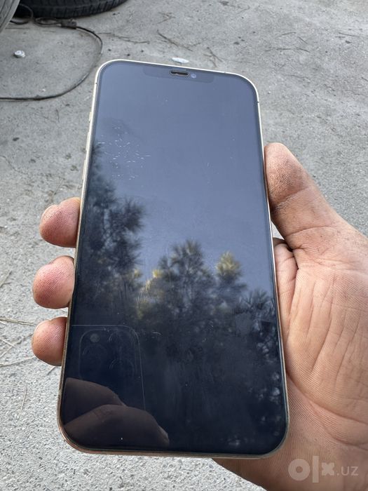 Iphone 12 pro max