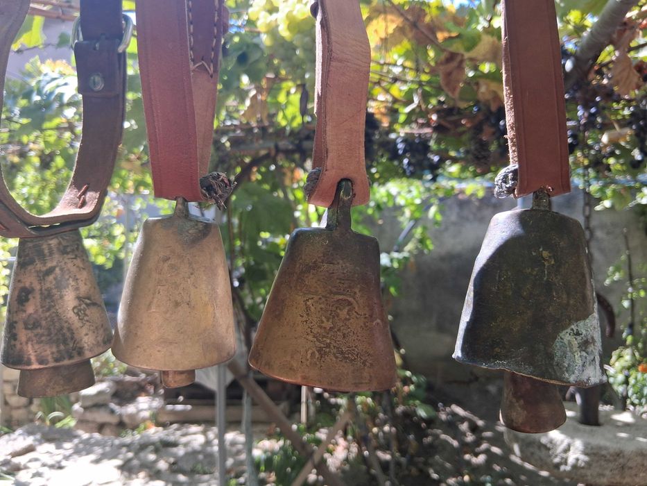 Звънци, Чан, Чанове