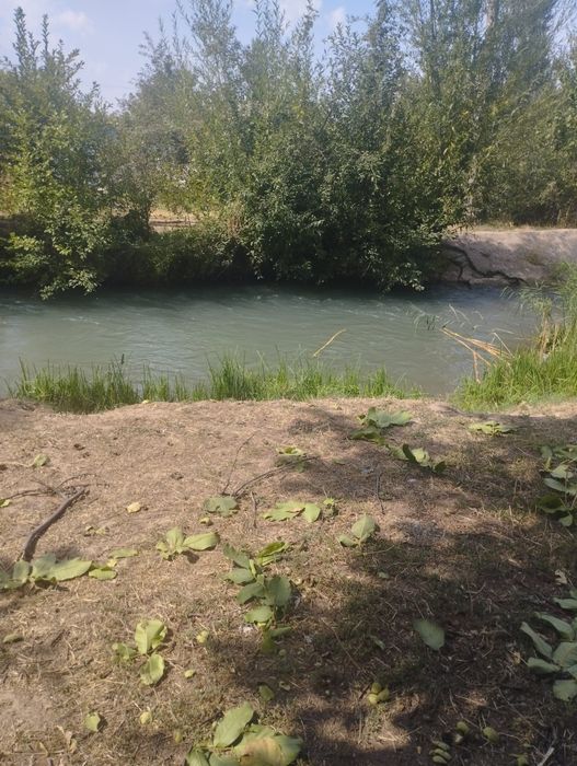 Кадастери бор келишамиз