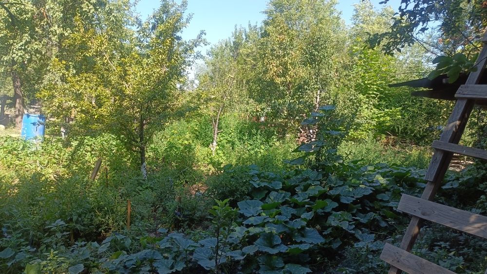 Дом в даче станция Чемолган