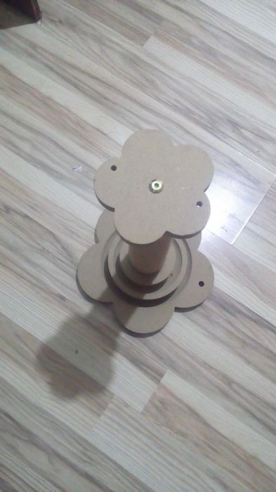 Когтеточка кошачья