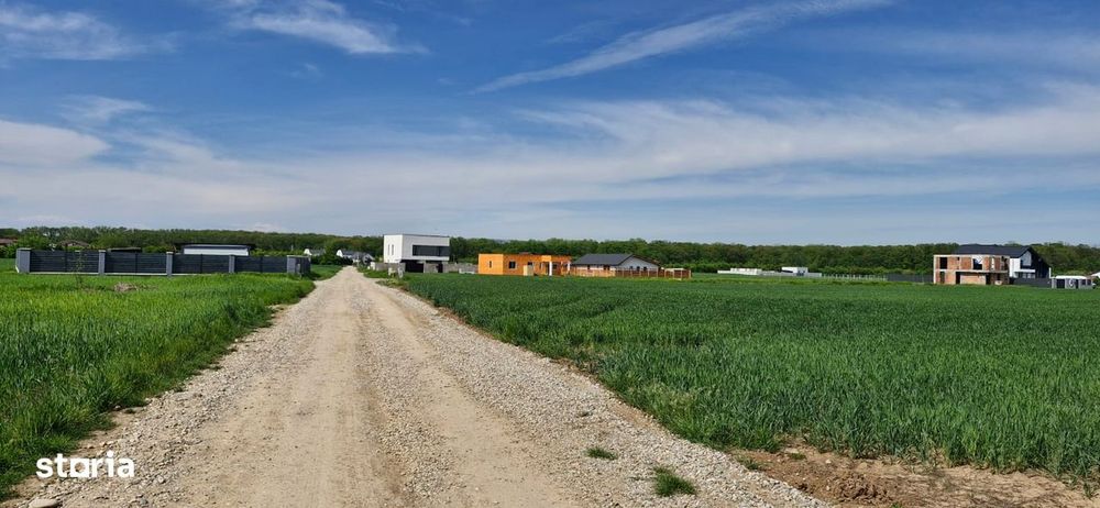 Teren cu acces la gaz si electricitate,padure in apropiere,58 euro/mp