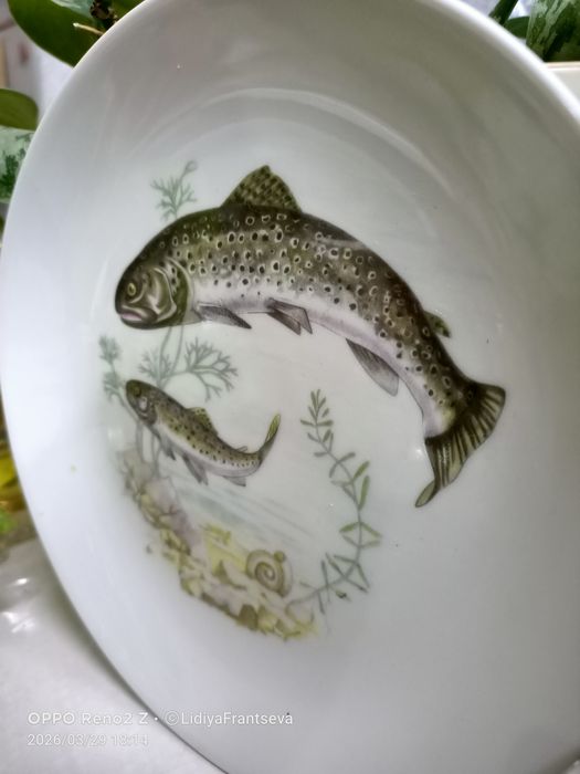 Фарфор  винтаж 70х